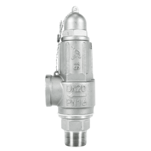 DKV A21W/Y/F Spring-Loaded Safety Valve