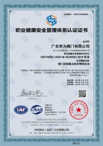 Occupational health and safety management system certification