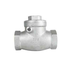 DKV H14W Stainless Steel Threaded Swing Check Valve