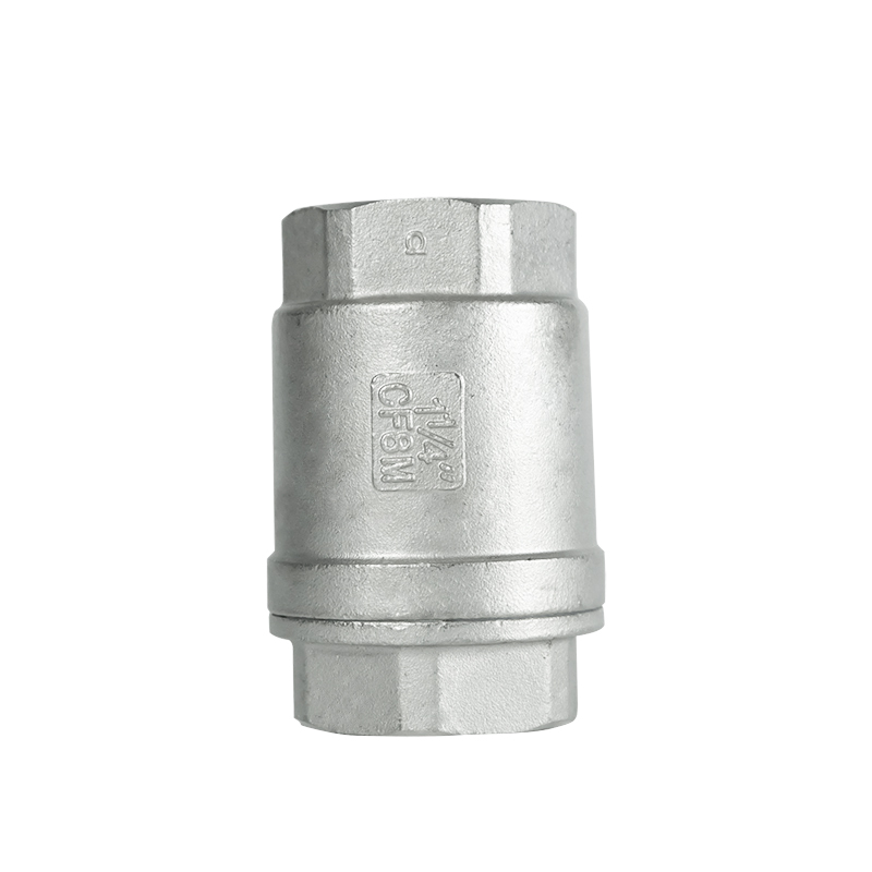 DKV H12W  Vertical Stainless Steel Threaded Check Valve
