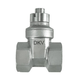 DKV stainless steel screwed gate valve