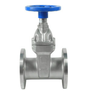 DKV Z45X Flanged Non Rising-Stem Gate Valve