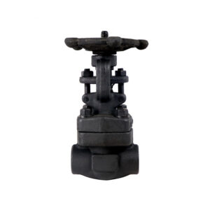 Z11W weld globe valve