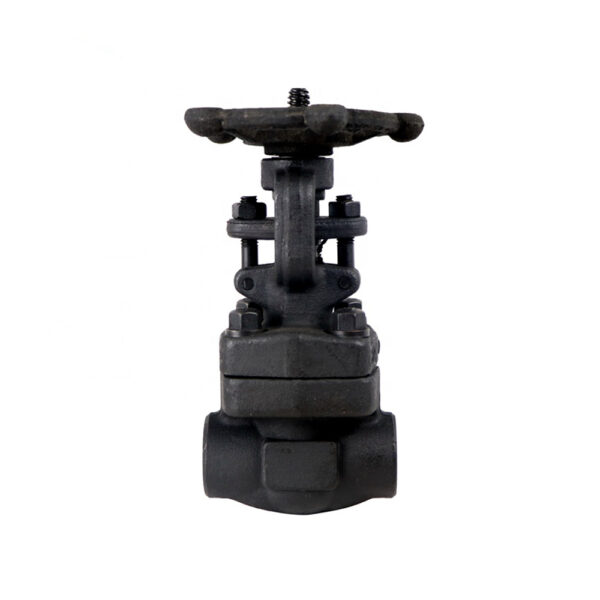 Z11W weld globe valve