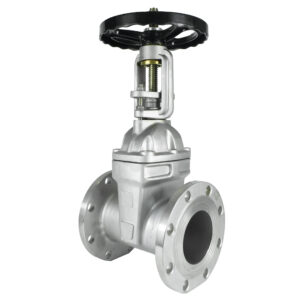 DKV Z41X Flanged Rising-Stem Gate Valve