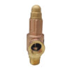 Brass safety valve