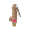 brass safety valve