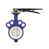 D71 butterfly valve