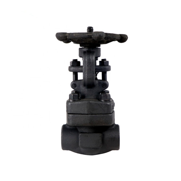 DKV Z61H A105 Threaded Forged Steel Globe Valve - DKV - The most ...