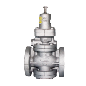 DKV Thread GP-1000 Pressure Reducing Valve