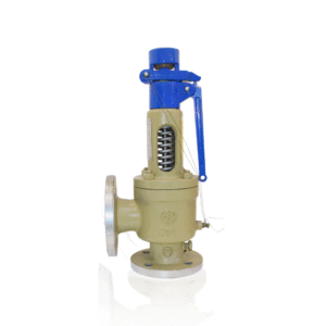 DKV  Carbon Steel A48Y Spring safety valve