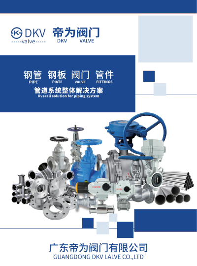 DKV VALVE CATALOG_00